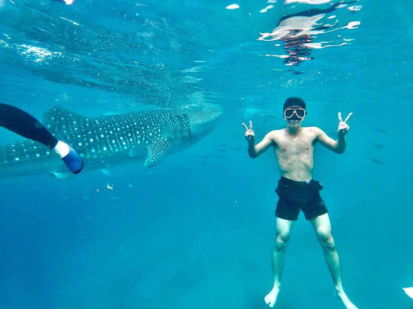 Oslob Whale Shark Direct - What the $112 price really covers