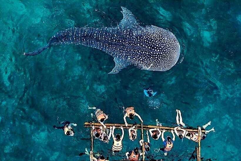 Oslob: Whale Shark Encounter, Ka-Treasure Falls & Simala - Quartel ruins and Cebu’s Spanish-era past