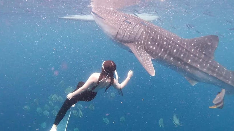 Oslob Whale Shark Swimming & Kawasan Falls Canyoneering - What to bring for a wet, busy day