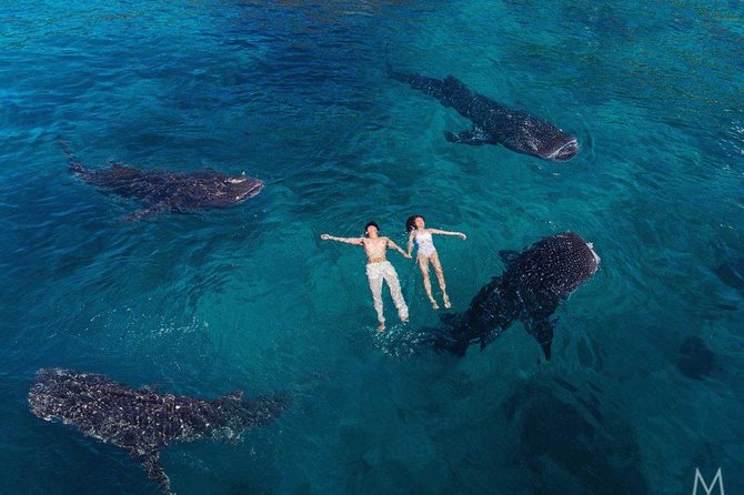 Oslob Whale Shark & Tumalog Falls & Kawasan Falls Canyoneering - Breakfast and lunch: useful, simple, and worth planning around