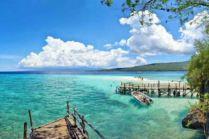 Oslob Whale Shark & Tumalog Waterfalls & Sumilon Sandbar - Why this Cebu day trip takes so long