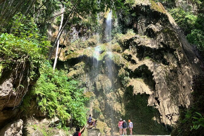 Oslob Whale Shark & Tumalog Waterfalls & Sumilon Sandbar - The 2:00 to 4:00 a.m. pickup