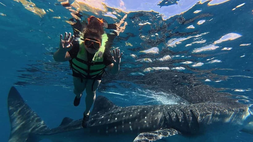 Oslob: Whale Shark Watching Private tour - What the eight-hour day is really like