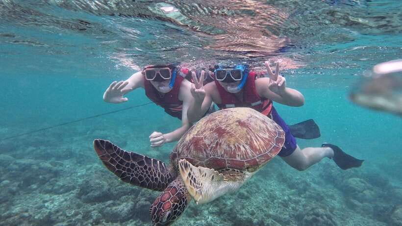 Oslob: Whale Sharks, Inambakan Falls & Moalboal Sardines - Timing, weather, and cancellation advice