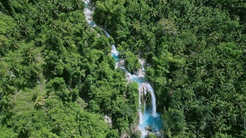 Oslob: Whale Sharks, Inambakan Falls & Moalboal Sardines - Why this Cebu day trip is so popular