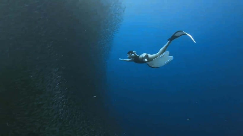 Oslob: Whale Sharks, Inambakan Falls & Moalboal Sardines - Inambakan Falls brings a cool change of pace
