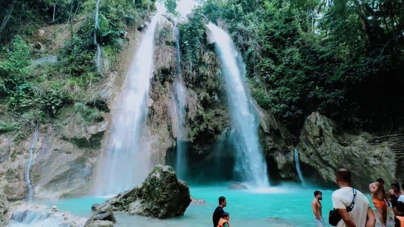 Oslob: Whale Sharks, Inambakan Falls & Moalboal Sardines - Who will enjoy this best