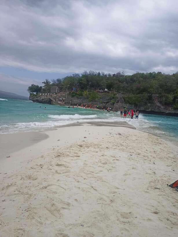 Oslob: Whale Sharks, Tumalog Falls & Sumilon Trio Adventure - Who Will Get the Most From This Tour?
