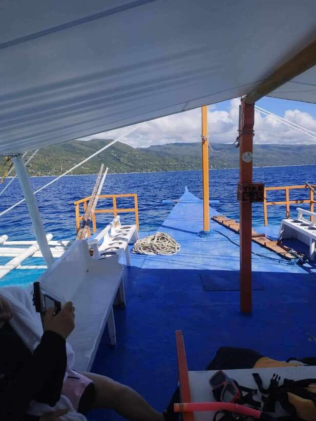 Oslob: Whale Sharks, Tumalog Falls & Sumilon Trio Adventure - The whale shark morning in Oslob
