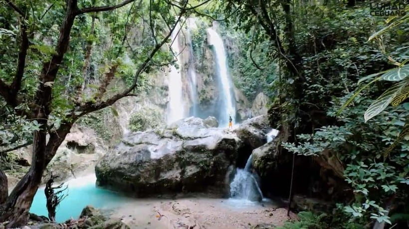 Oslob: Whaleshark Swimming, Inambakan Falls & Moalboal Tour - Moalboal’s sardine run from Panagsama Beach