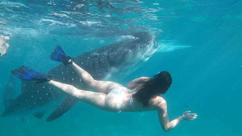 Oslob: Whaleshark Swimming, Tumalog Falls & Sumilon Island - Should you book this Oslob tour?