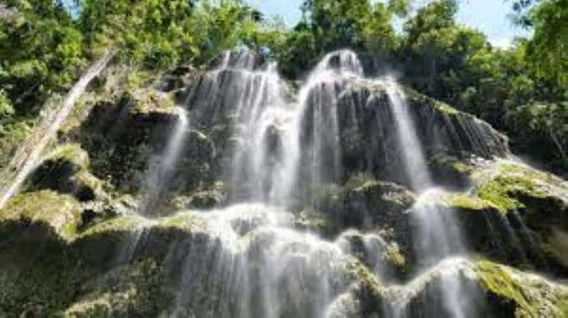 Oslob: Whaleshark Swimming, Tumalog Falls & Sumilon Island - Breakfast and the flexible morning schedule