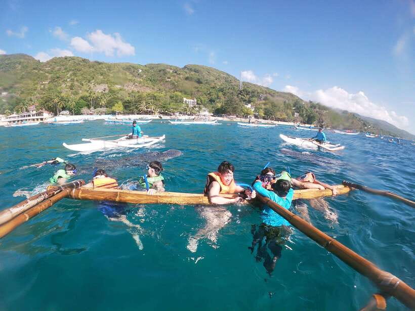 Oslob: Whaleshark Swimming, Tumalog Falls & Sumilon Island - Who will enjoy this day most?