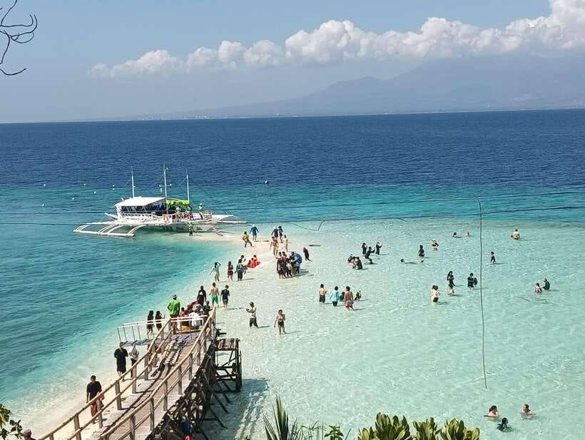 Oslob: Whaleshark Watching, Sumilon Island & Monkey Viewing - What this Southern Cebu day is really like