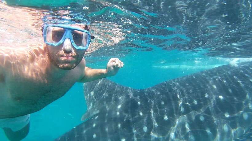 Oslob: Whaleshark Watching, Sumilon Island & Monkey Viewing - Tumalog Falls needs a quick confirmation