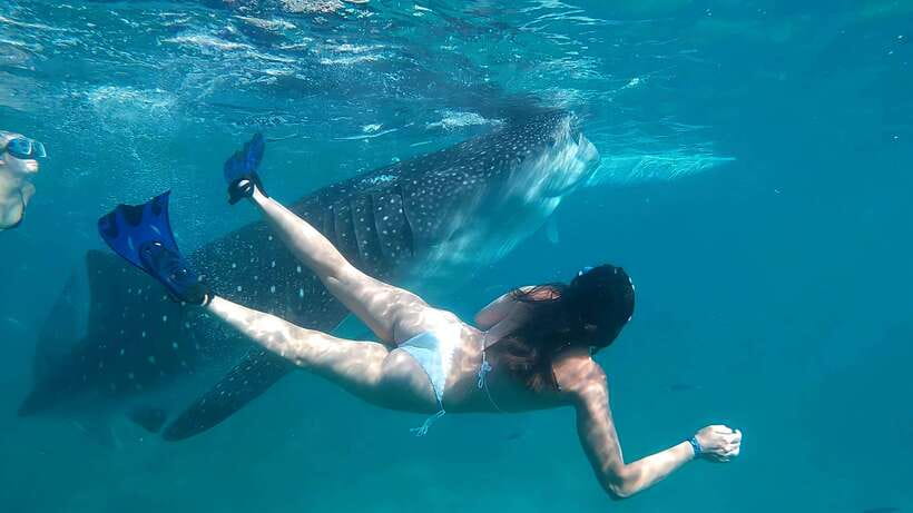 Oslob: Whaleshark Watching, Tumalog Falls & Sumilon Island - Who should book this experience?