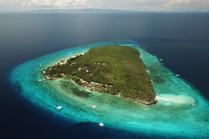 Oslob Whaleshark with Sumilon Island - Sumilon Sandbar by banca