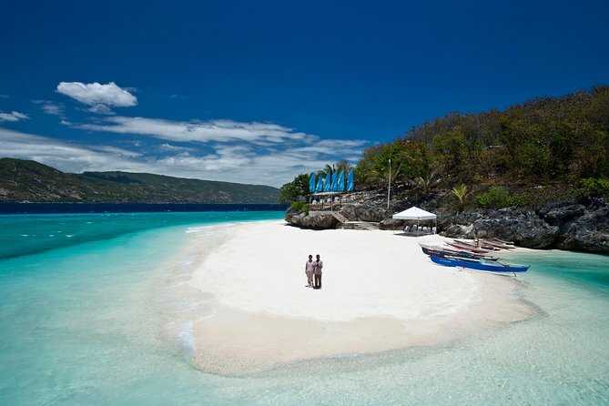 Oslob Whalesharks & Aguinid Falls w/ Sumilon Sandbar (3in1) - Meeting the Oslob whale sharks