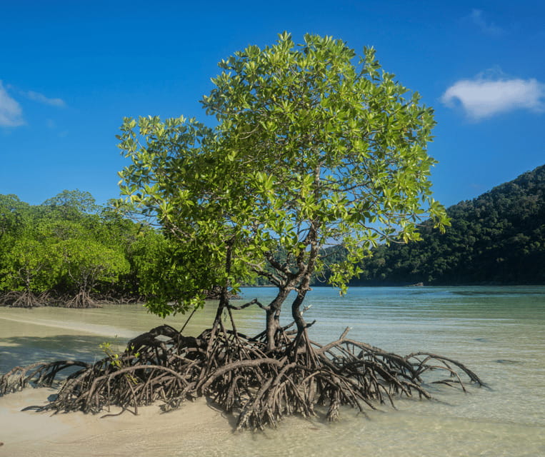 PALAWAN: El Nido Fishing Tour with Local Fishermen PRIVATE - Learning handlines, nets, and fish traps