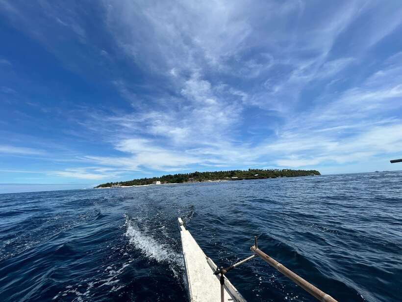 Pamilacan island: Dolphins, snorkel, lunch and walking tour - Dolphin watching near Pamilacan Island
