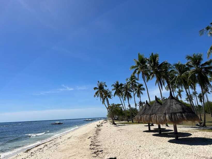 Pamilacan island: Dolphins, snorkel, lunch and walking tour - Three hours around the protected Coral Garden