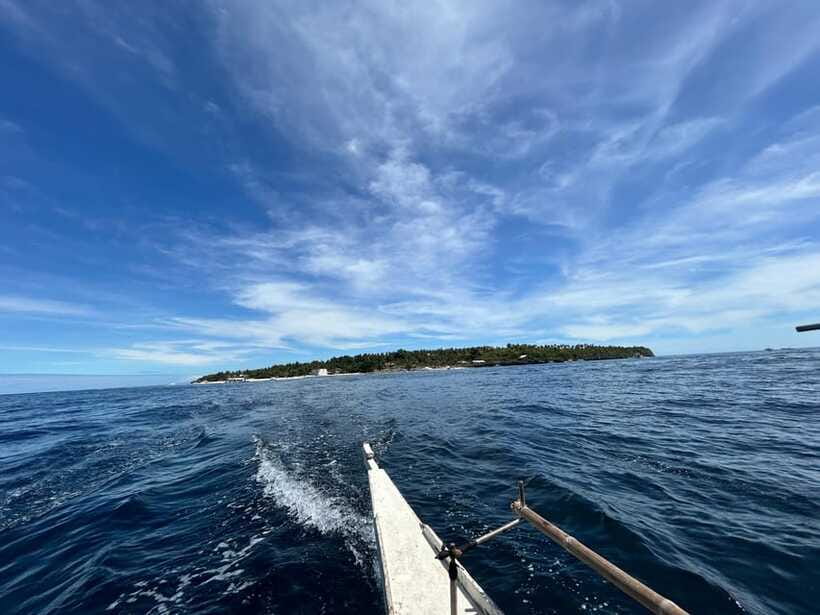 Pamilacan island: Dolphins, snorkel, lunch and walking tour - Who will get the most from this tour?