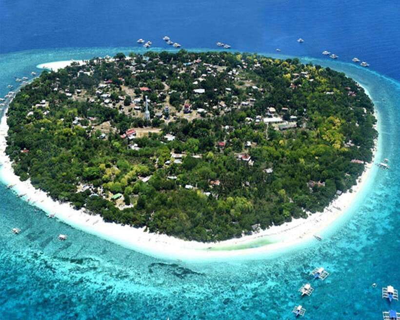 Panglao Bohol: Balicasag Island Hopping & Dolphin Watching - Coral reefs and turtles at Balicasag Island