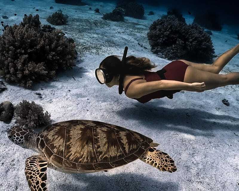 Panglao Bohol: Balicasag Island Hopping & Dolphin Watching - Virgin Island for photos and swimming