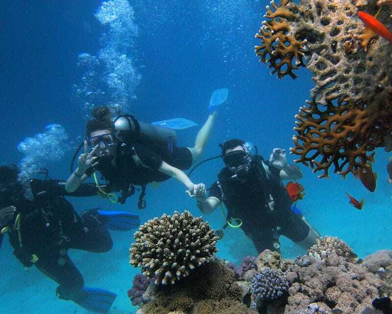 Panglao Bohol: Try Scuba Diving at Napaling and Sardines - What the $105 price really covers