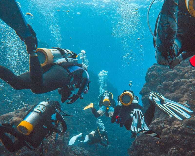 Panglao Bohol: Try Scuba Diving at Napaling and Sardines - Who should book this Panglao experience