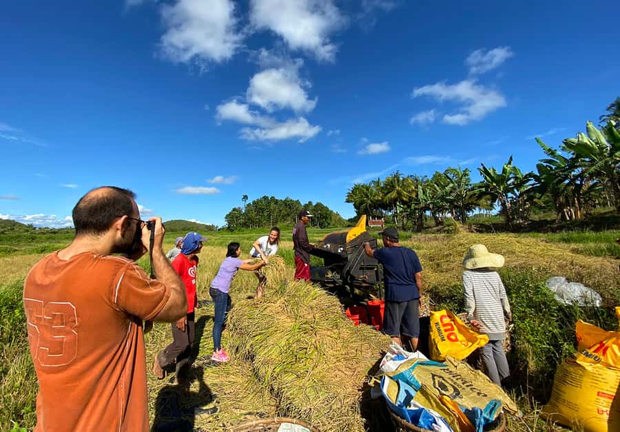Panglao: Dao, Forests, and Tarsier Sanctuary Tour with Lunch - Why this Bohol day trip works