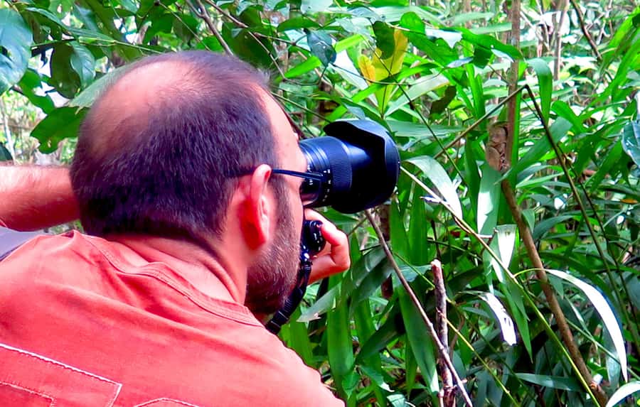 Panglao: Dao, Forests, and Tarsier Sanctuary Tour with Lunch - Eating lunch beside a rice paddy