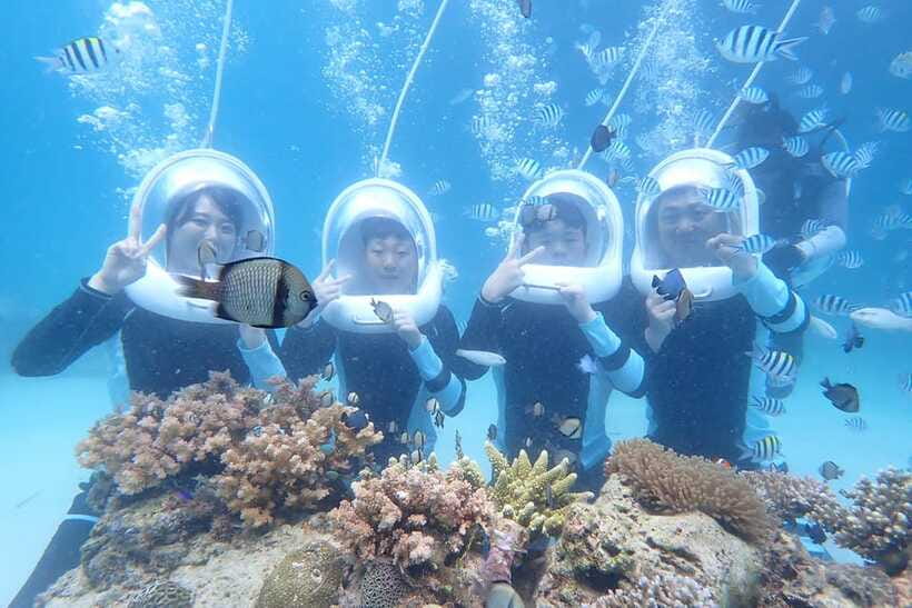 Panglao: Helmet Diving Experience with Photos and Videos - What the Panglao helmet experience is really like