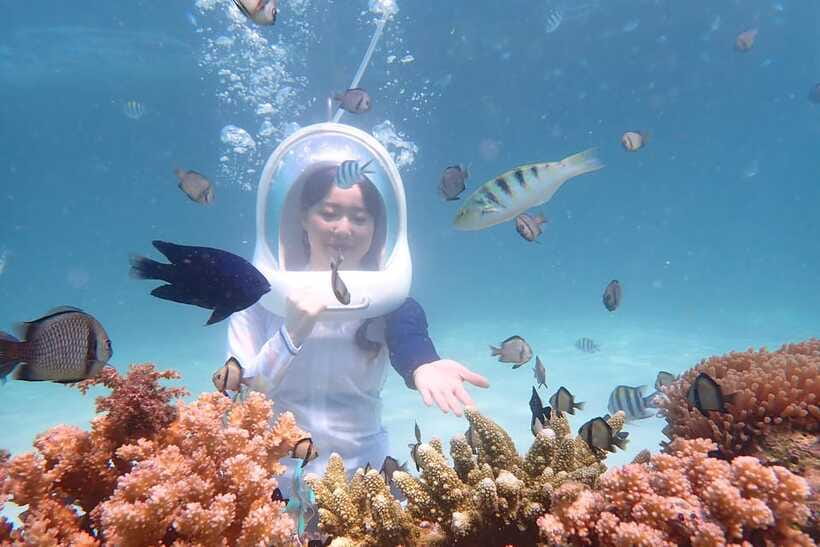 Panglao: Helmet Diving Experience with Photos and Videos - Walking the reef for 20 minutes