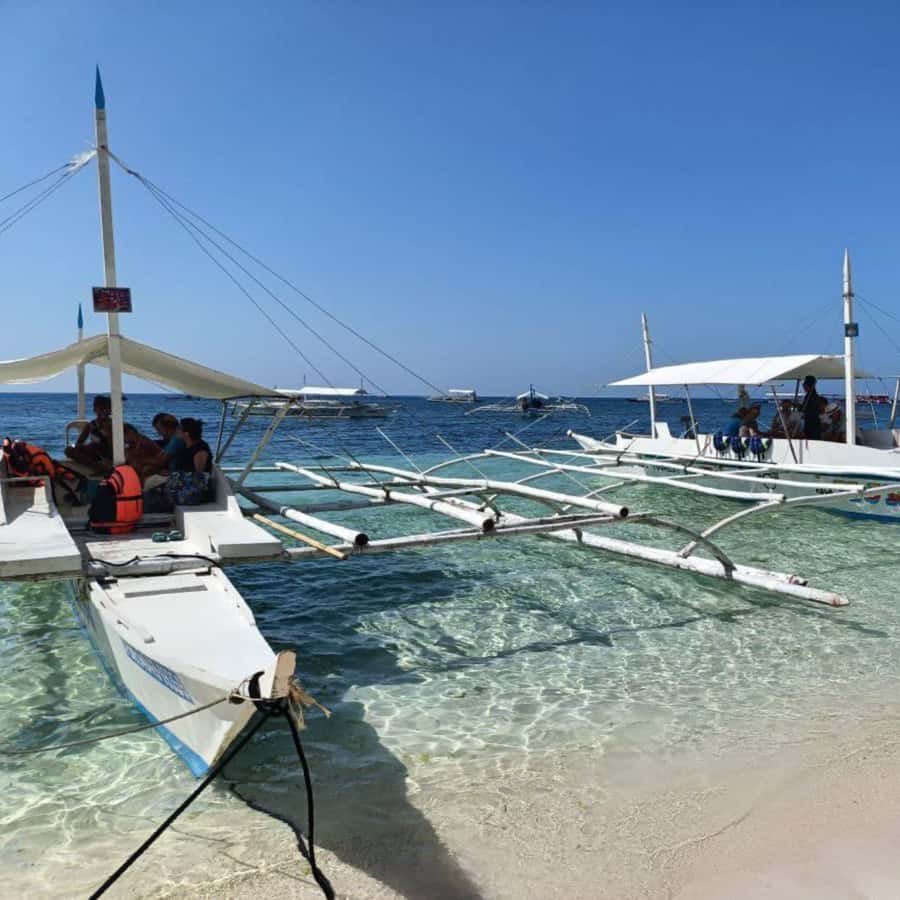 Panglao: Island Hopping w/Balicasag (Shared) - Balicasag Island and Its Protected Marine Area