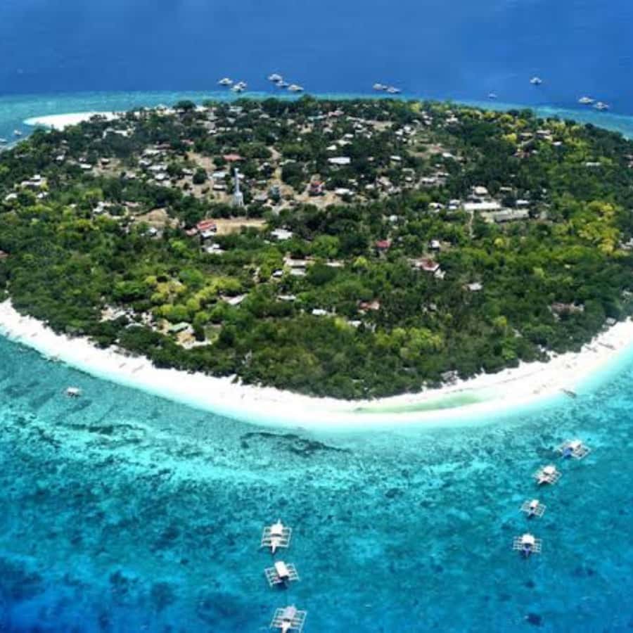 Panglao: Island Hopping w/Balicasag (Shared) - Fish, Turtles, and Fish Feeding