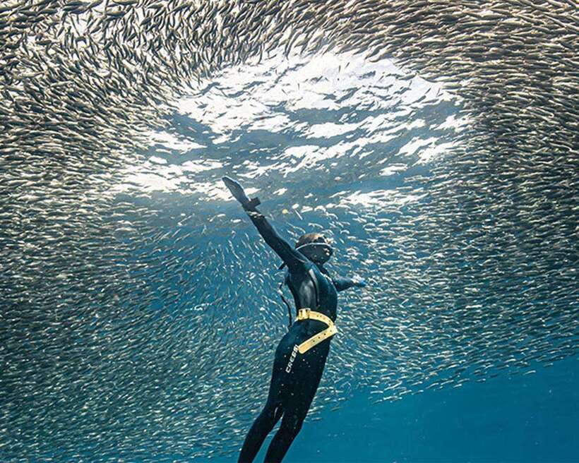 Panglao: Napaling Reef and Sardines Freediving Experience - Starting at Freedive Academy Panglao