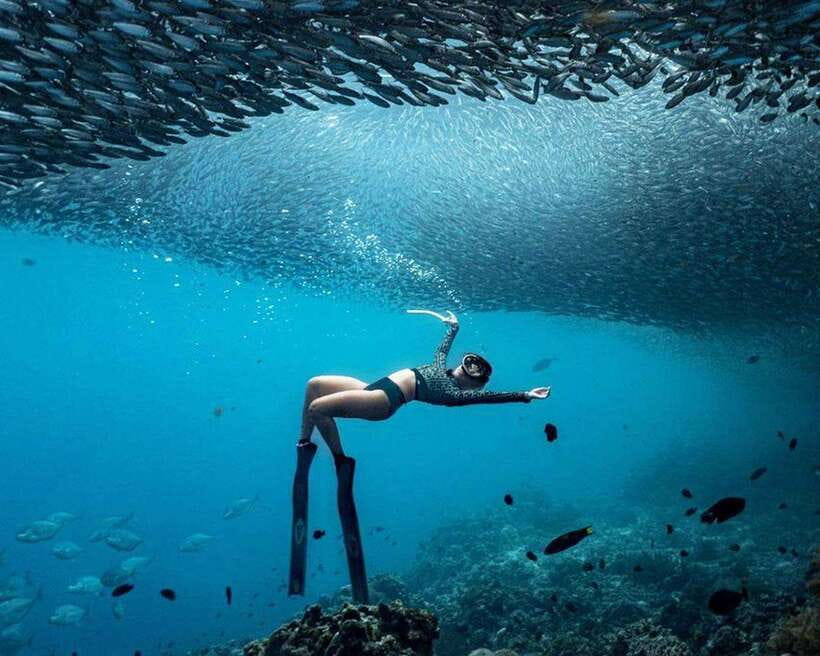 Panglao: Napaling Reef and Sardines Freediving Experience - Meeting the sardines below the surface