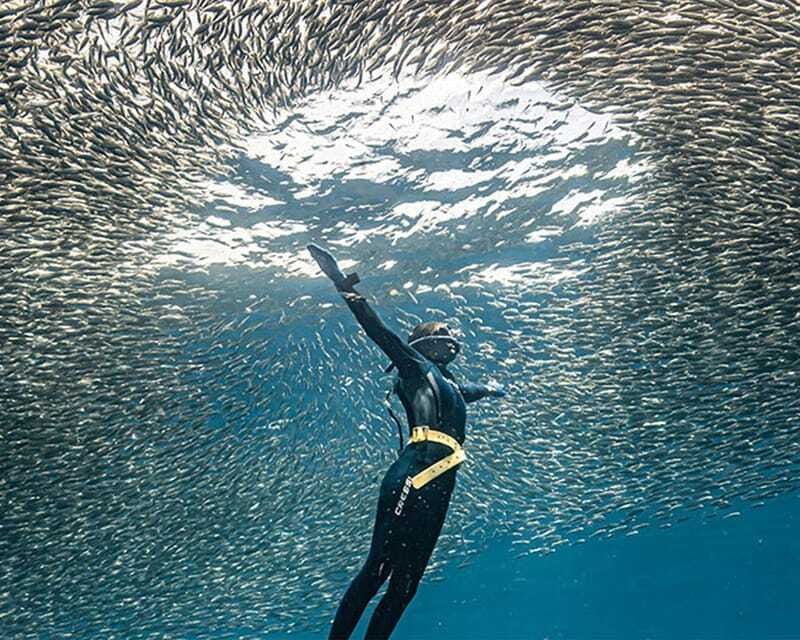 Panglao: Napaling Reef and Sardines Freediving Experience - A guide who watches your comfort