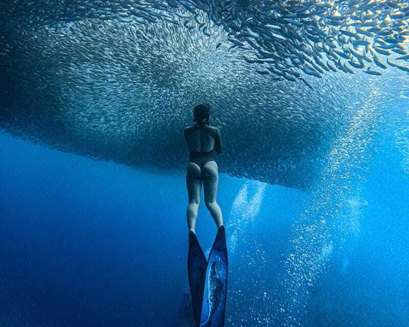 Panglao: Napaling Reef and Sardines Freediving Experience - What to bring and how to prepare