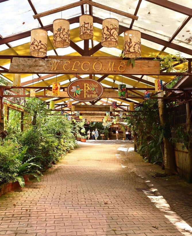 Panglao: Private Cave Pool, Beach & Scenic Day Tour - South Farm or Mangrove Walk at the end