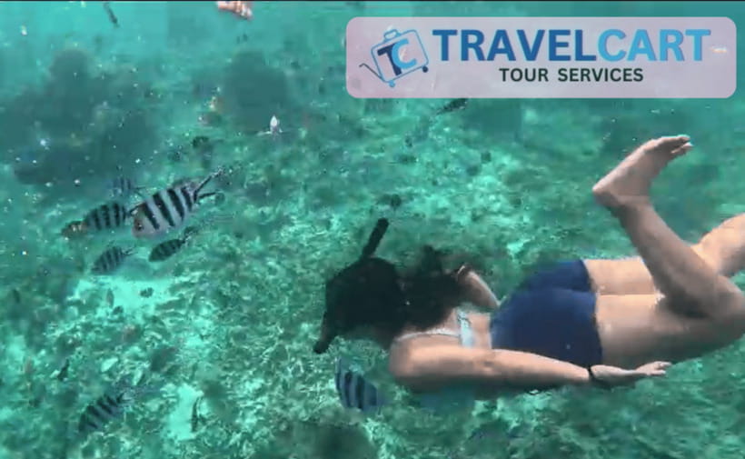 PORT BARTON: Full-day Shared Island Hopping Tour A - The turtle sanctuary adds purpose to the day