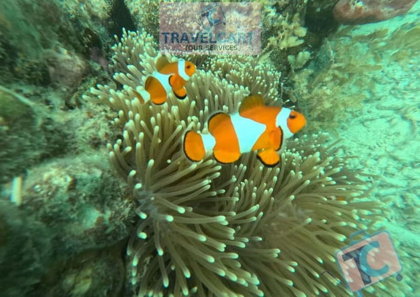 PORT BARTON: Full-day Shared Island Hopping Tour A - Maxima and Exotic Islands: white sand and open space