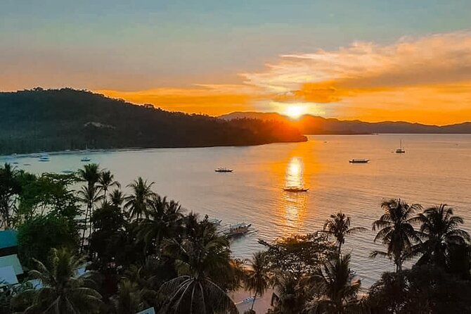 Port Barton Island Hopping from Puerto Princesa City - The chance to swim with sea turtles