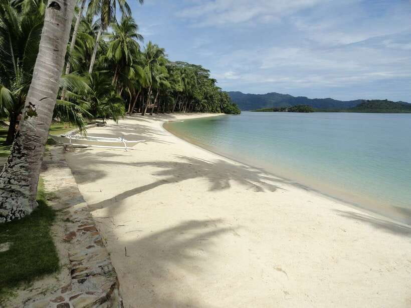 Port Barton: Island Hopping to Turtle Spot & Reef with Lunch - Exotic Island or Maxima Island
