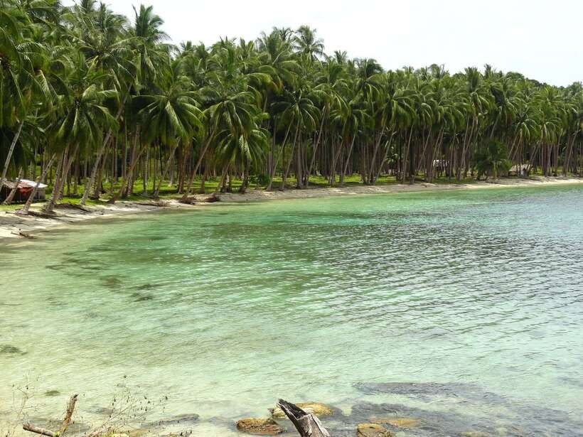 Port Barton: Island Hopping to Turtle Spot & Reef with Lunch - Twin Reef and the underwater highlights