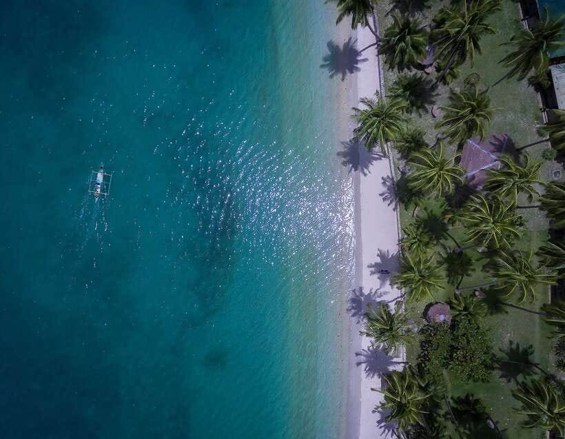 Port Barton: Island Hopping to Turtle Spot & Reef with Lunch - Snorkeling Port Barton’s reefs