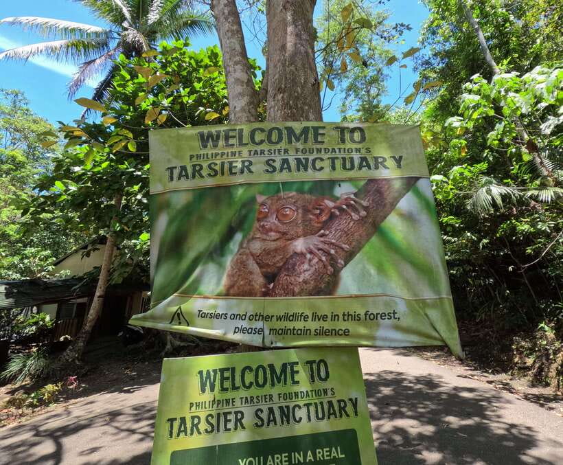 PREMIUM Bohol Eco-Tours: Chocolate hills - Key points at a glance