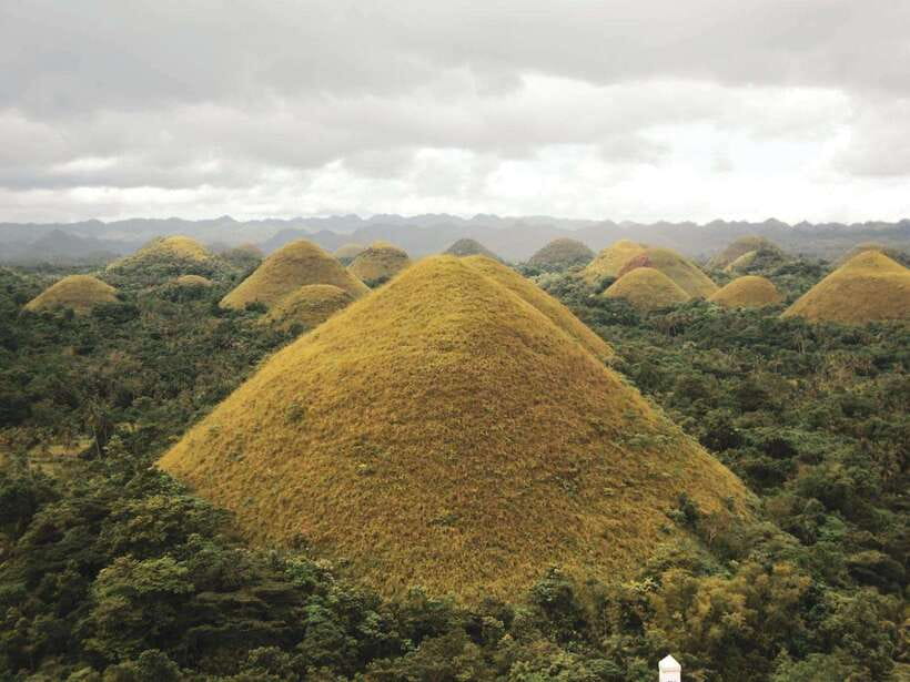 PREMIUM Bohol Eco-Tours: Chocolate hills - Why this private Bohol day works well