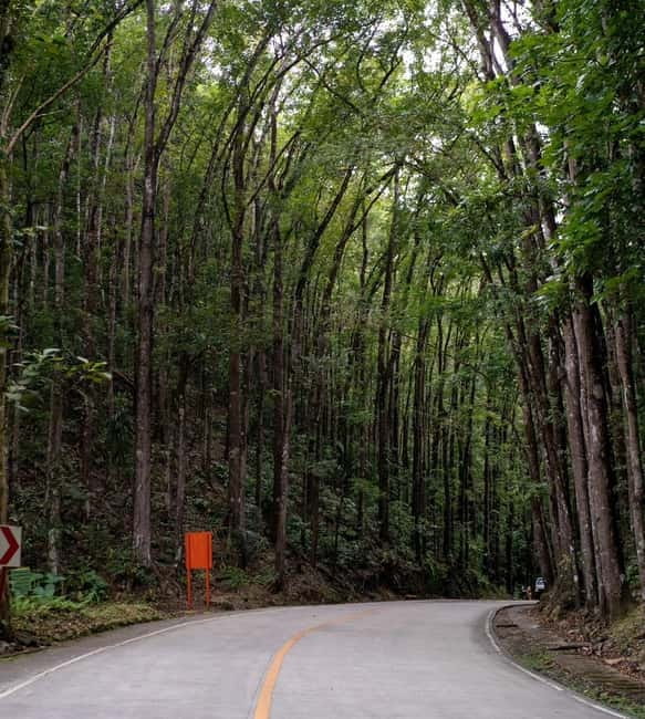 PREMIUM Cebu-Bohol Day Tour with Roundtrip Ferry Transfers - Why this Cebu to Bohol day trip works